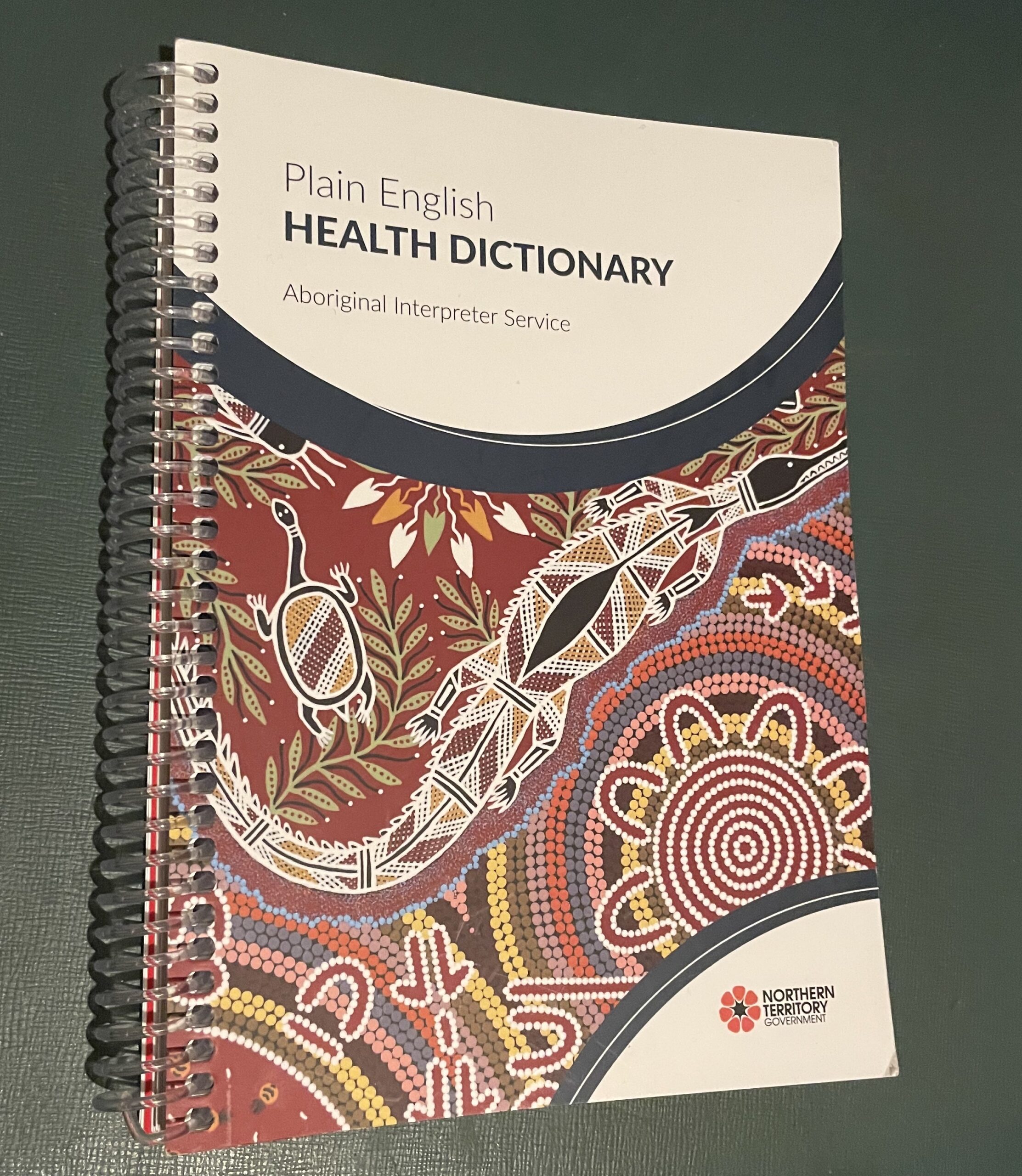Plain English Health Dictionary Copy