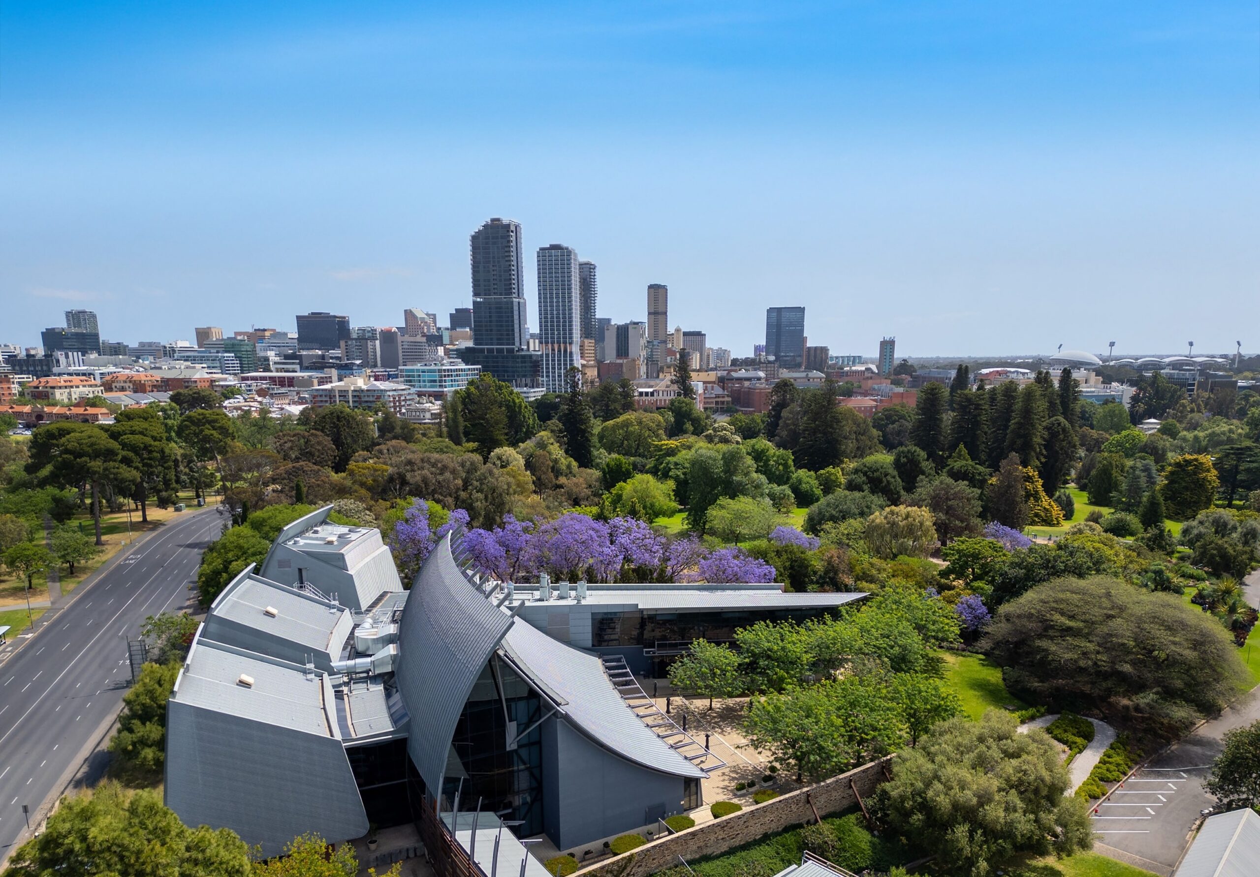 Nwc Aerial Jacaranda Hero Narrow